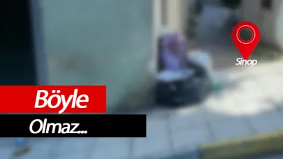 Yol kenarlarına gelişi güzel bırakılıyor