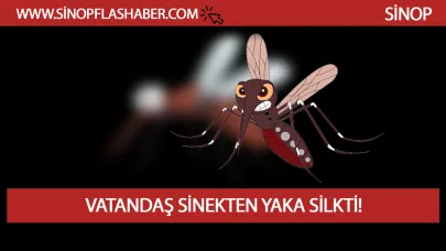 Ciddi bir sorun haline geldi