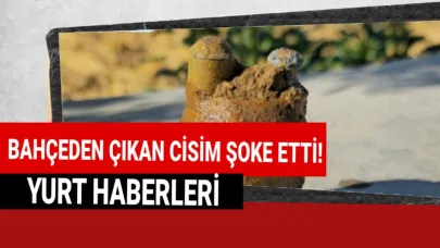 Zeytin bahçesindeki gelişme ekipleri harekete geçirdi