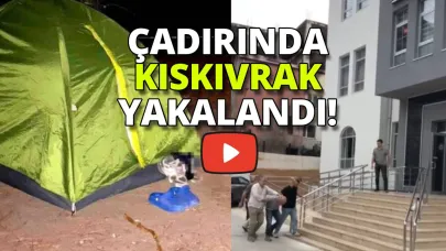 Sinop’ta yakaladılar! Trabzon’a sevk edildi