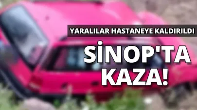 Otomobil şarampole uçtu: 2 yaralı