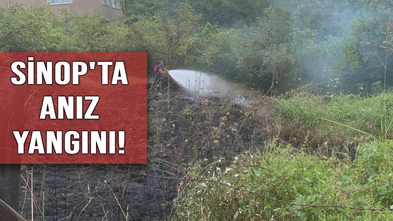 Sinop’ta kırsalda çıkan yangın korkuttu