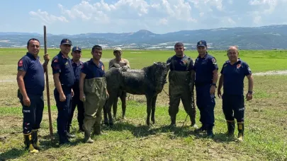 Katırlarını kurtarmak isterken kendisi de battı