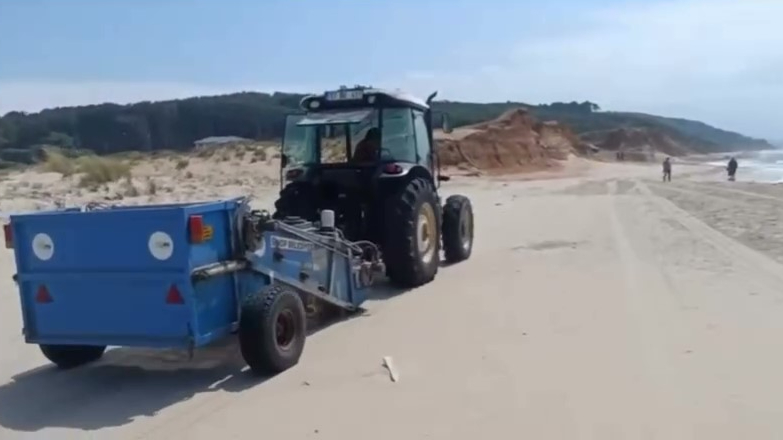 Sinop'ta Sarıkum Sahilinde temizlik mesaisi!