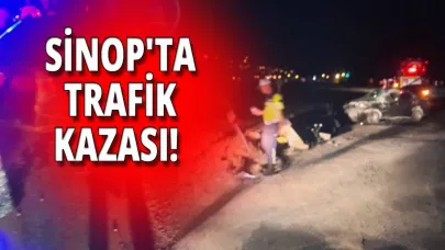 Kontrolden çıkan araç kaza yaptı: 1 Yaralı
