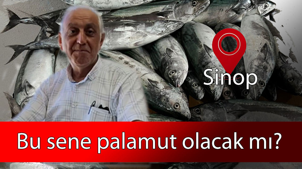 Başkan Tuncer Cevapladı