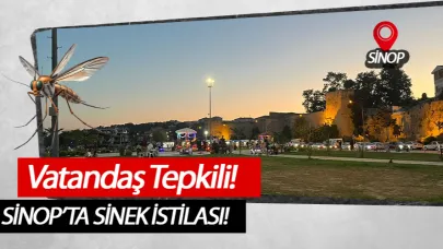 Sinek saldırısı çileden çıkarttı