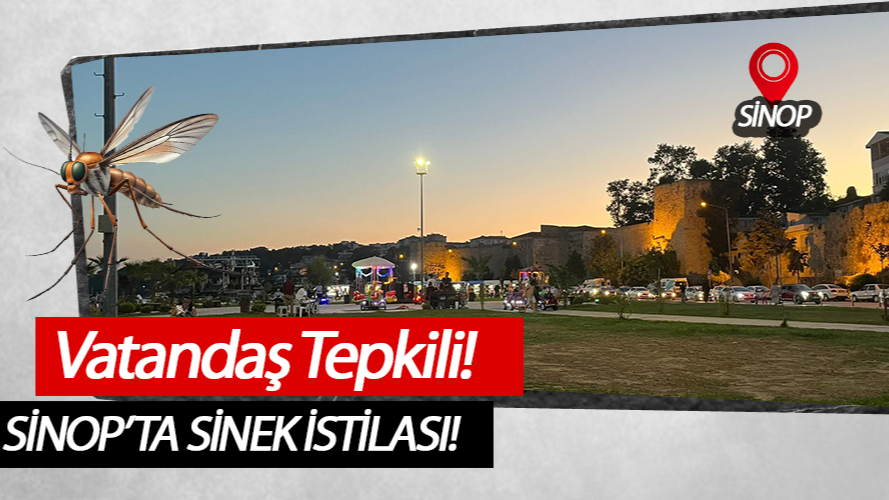 Sinek saldırısı çileden çıkarttı