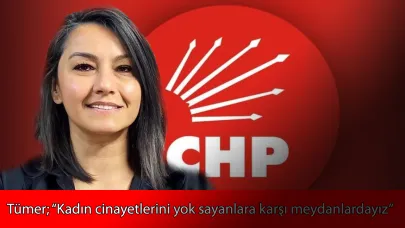 Tümer; “Kadın Cinayetleri Münferit Değil, Politiktir”
