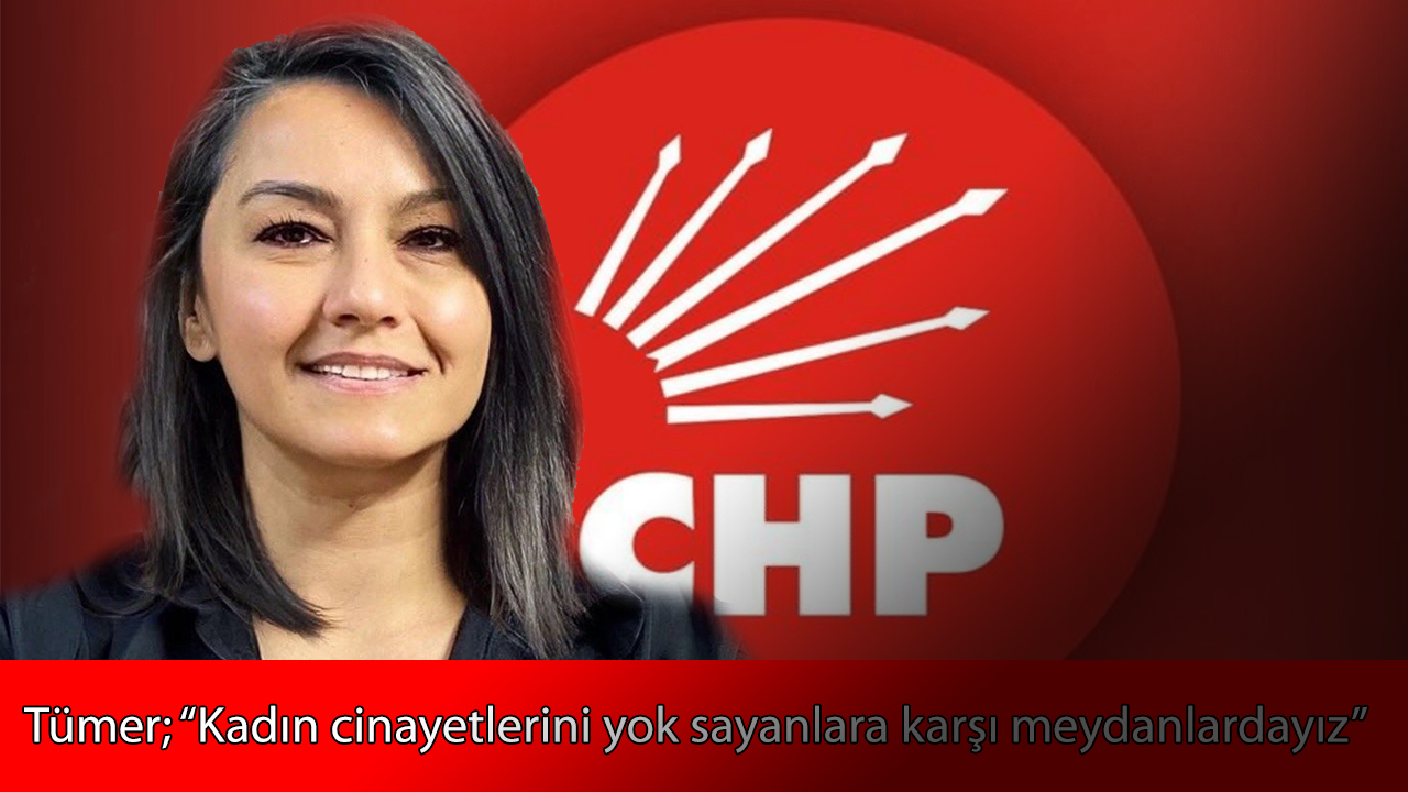 Tümer; “Kadın Cinayetleri Münferit Değil, Politiktir”