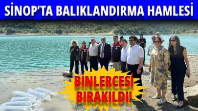 Sinop'ta sulara can geldi