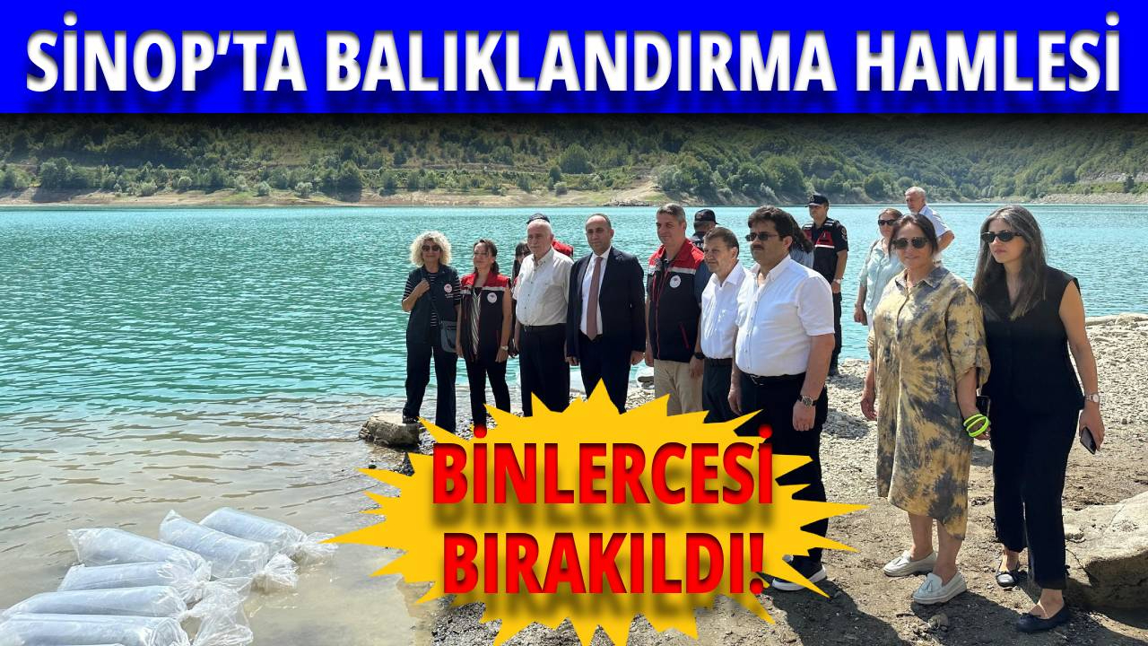 Sinop'ta sulara can geldi