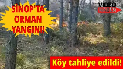 Sinop’ta orman yangını! Havadan ve karadan müdahale sürüyor