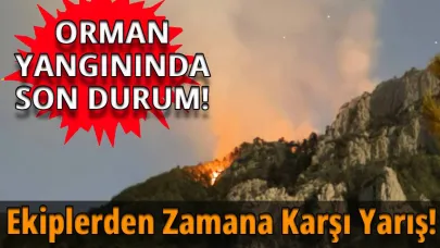 Sinop'taki orman yangını kontrol altına alındı