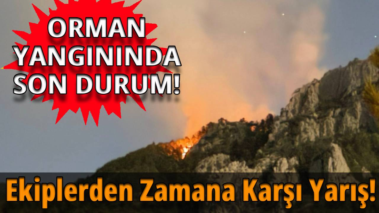 Sinop'taki orman yangını kontrol altına alındı