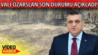 Vali Özarslan: "Yangın nedeniyle tahliye edilenler köylerine dönebilir"