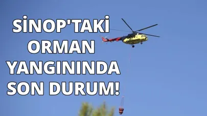 Sinop’taki orman yangınında son durum