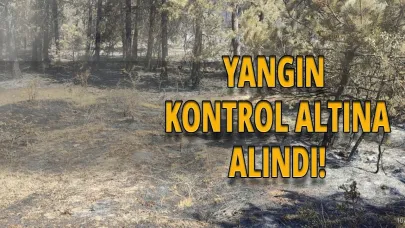 Sinop'taki orman yangınında soğutma çalışmaları tamamlandı