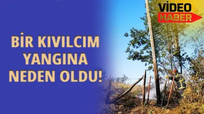 Sinop'ta elektrik direğinden düşen kıvılcım yangın çıkardı