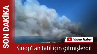 Orman yangını ile karşı karşıya kaldılar