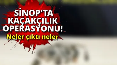 Gelen istihbarat ekipleri harekete geçirdi