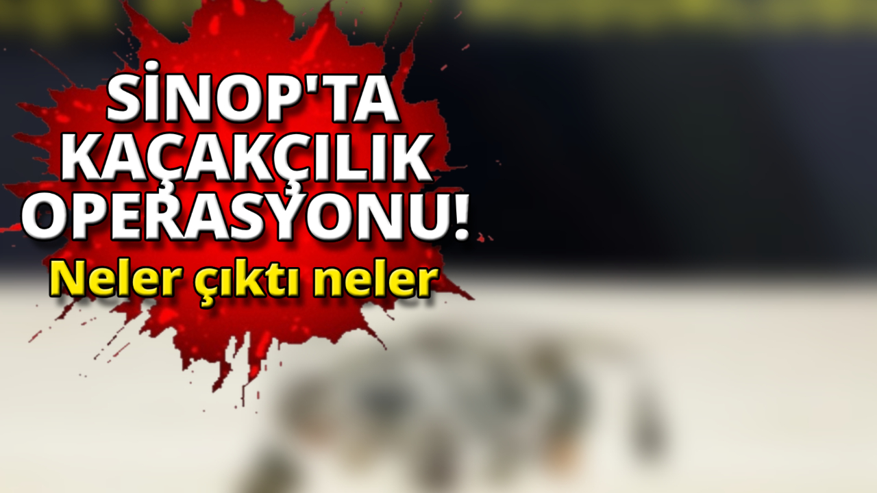 Gelen istihbarat ekipleri harekete geçirdi
