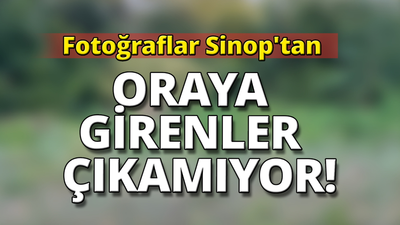 Vatandaş yakınına bir Fatiha okuyamıyor