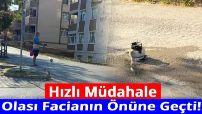 Sinop'ta sokak ortasında korku dolu anlar
