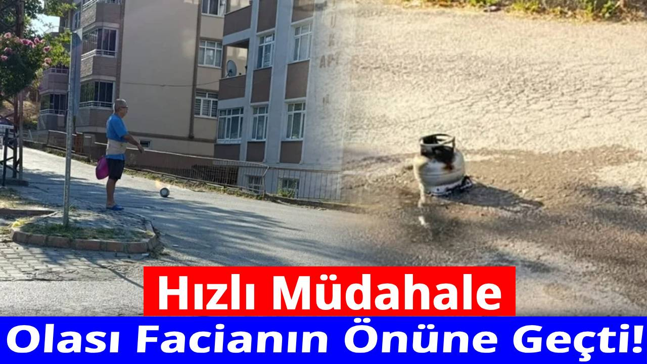 Sinop'ta sokak ortasında korku dolu anlar
