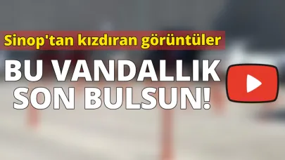 Madem işe yaramıyor sökün bari