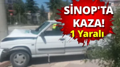 Kontrolden çıkan otomobil aydınlatma direğine çarptı:1 yaralı