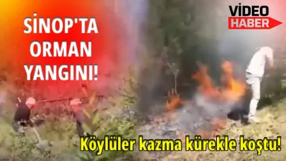 Sinop’ta orman yangınına karşı insan zinciri