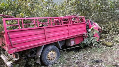 Giresun’da kamyonet fındık bahçesine yuvarlandı: 4 ölü, 1 yaralı
