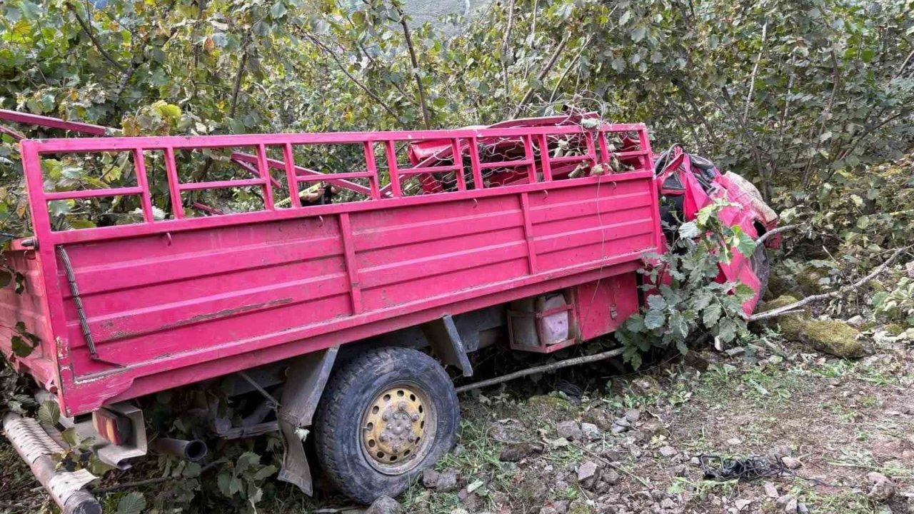 Giresun’da kamyonet fındık bahçesine yuvarlandı: 4 ölü, 1 yaralı
