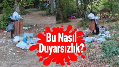 Millet Ormanı'nda çöp rezaleti!
