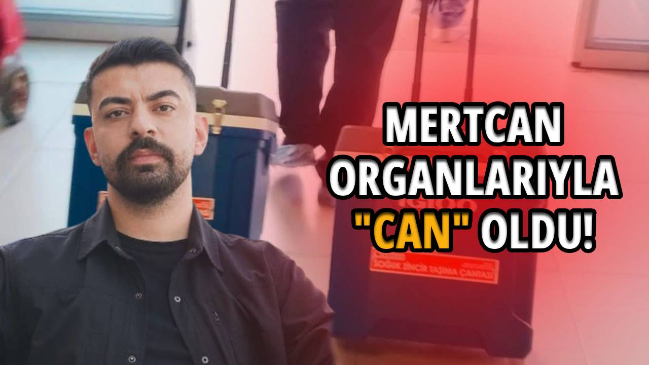 Sinoplu gencin organları yeni hayatlara nefes oldu
