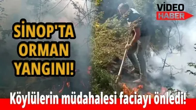 Sinop'ta aynı bölgede art arda çıkan yangınlar endişe yarattı