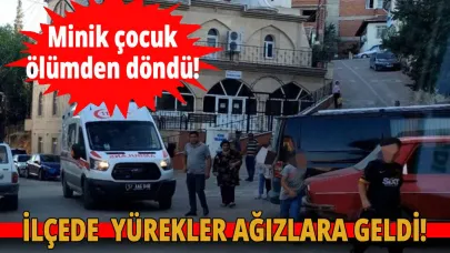 Sinop'ta kediye çarpmamak için manevra yapan çocuk kaza yaptı!