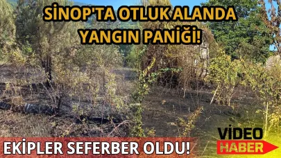 Sinop'ta otluk arazide korkutan yangın