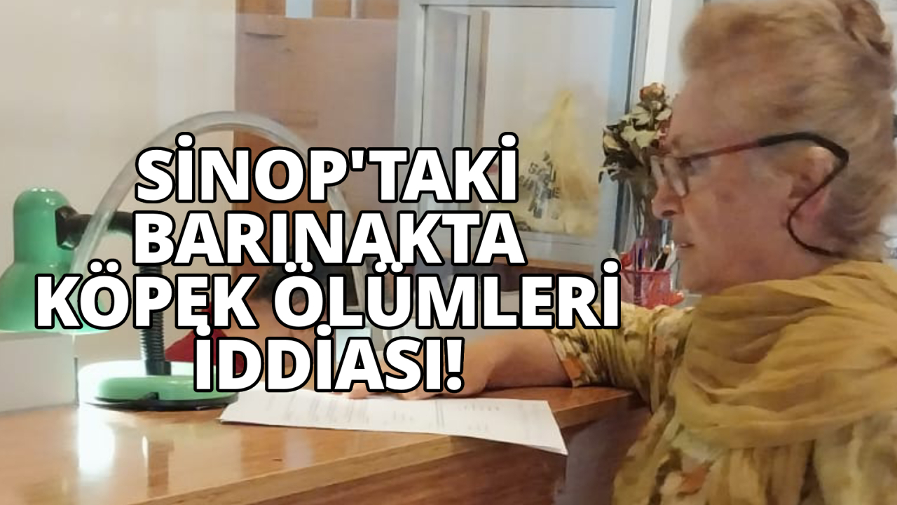 Hale Oğuz, o iddiaları gündeme getirdi