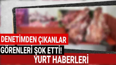 Bu denetim aşırı mide bulandırdı