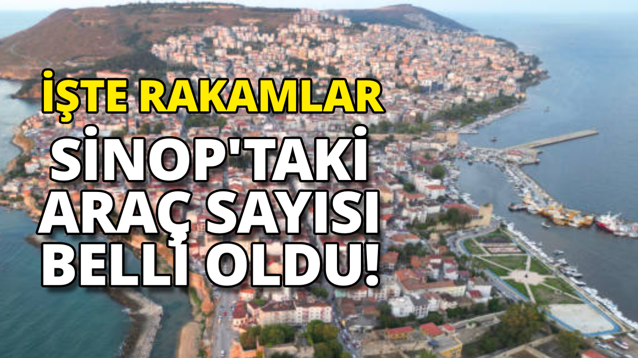 Sinop'ta trafiğe kayıtlı araç sayısı açıklandı