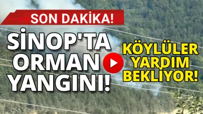 Ormanlık alandan yükselen duman korkuttu