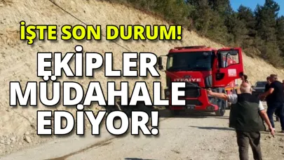 Sinop'ta ormanlık yangınlık alanda yangın! Son durum açıklandı