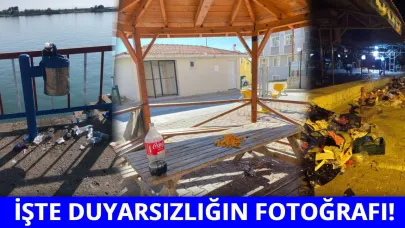 Gelişigüzel atılan çöpler bıktırdı