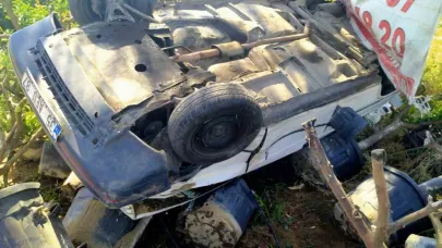 Hakimiyeti kaybolan otomobil fidanlığı uçtu: 1 yaralı