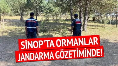 Sinop'ta jandarma orman yangınlarına karşı teyakkuzda!