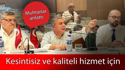 Ayancık’ın enerjisi masaya yatırıldı