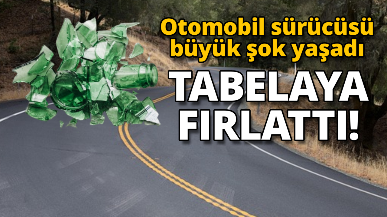 Sinop'ta öfkelendiren olay! Duyarsız sürücü öyle bir şey yaptı ki