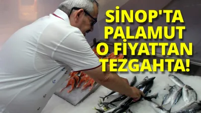 Palamut tezgahta yerini bu fiyatla aldı
